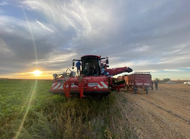 HOLMER TERRA DOS 4 